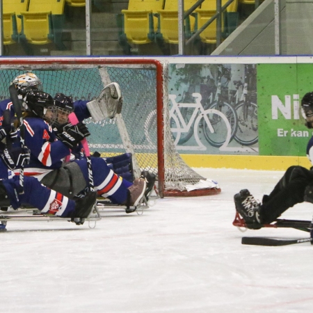 Foto verslag Nijmegen Para Ijshockey tegen Phantoms uit Antwerpen.            © IJshockeyfoto.nl